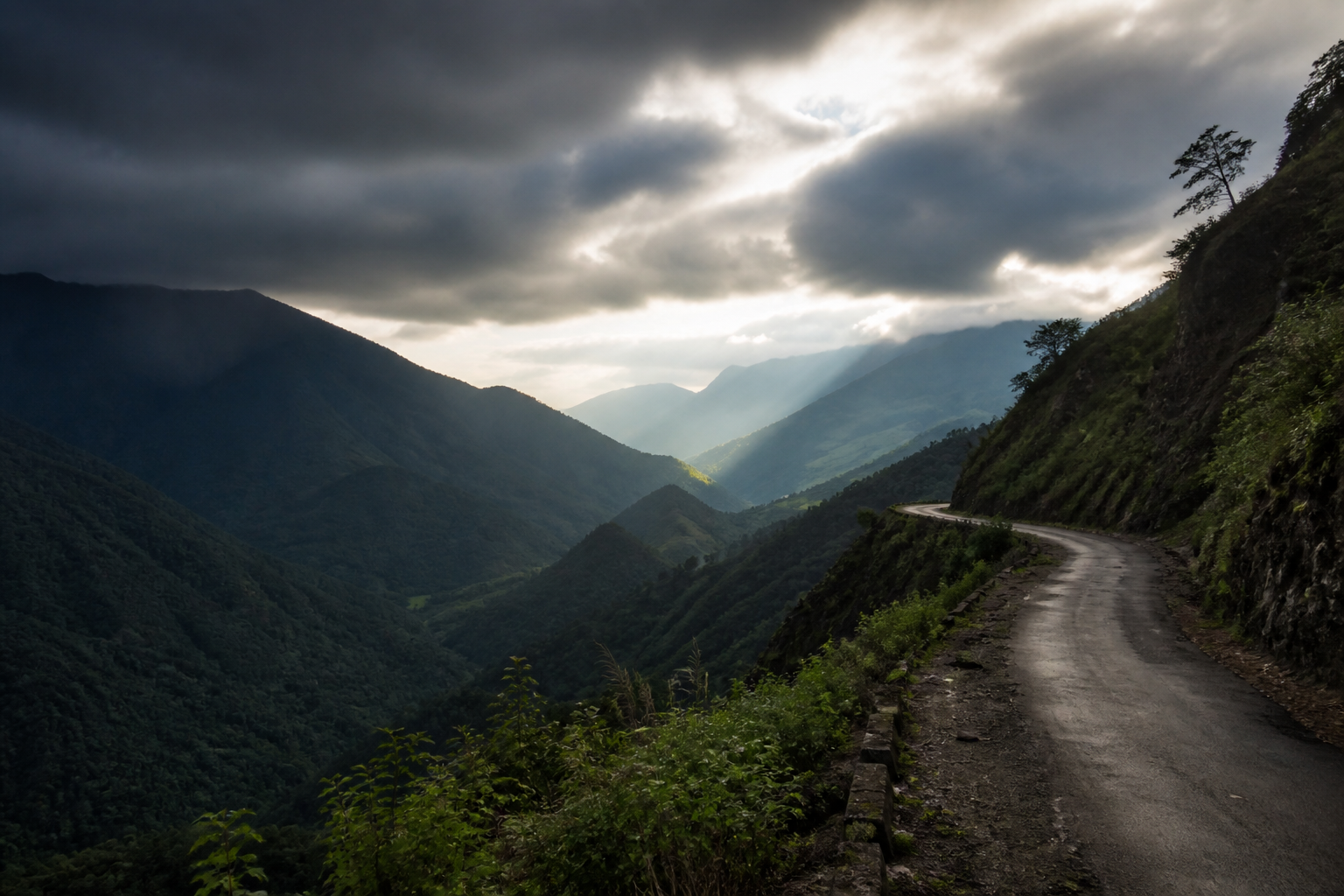 Nagaland
